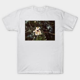 Hanami 2 T-Shirt